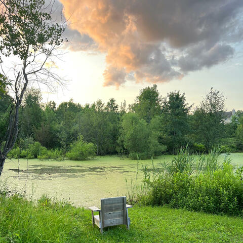 Background Thumbnail