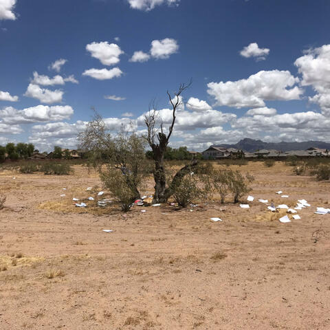 Background Thumbnail