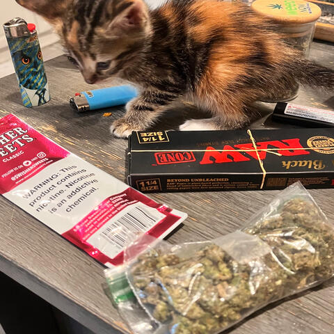 Background Thumbnail