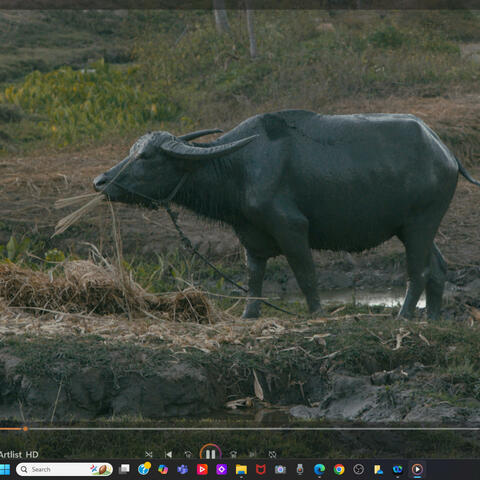 Background Thumbnail