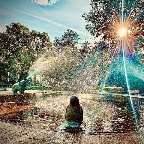 Background Thumbnail