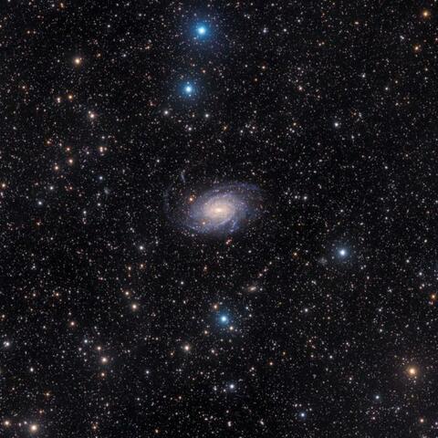 Background Thumbnail