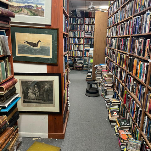 Background Thumbnail