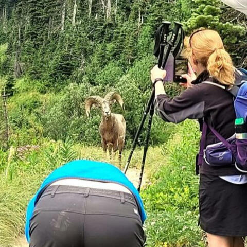 Background Thumbnail