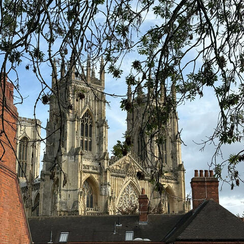 Background Thumbnail