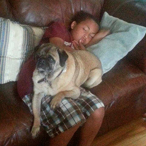 Background Thumbnail