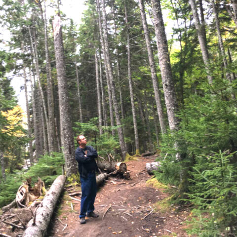 Background Thumbnail