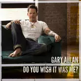 Do You Wish It Was Me? artwork