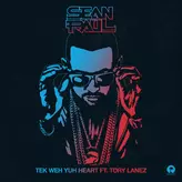 Tek Weh Yuh Heart artwork