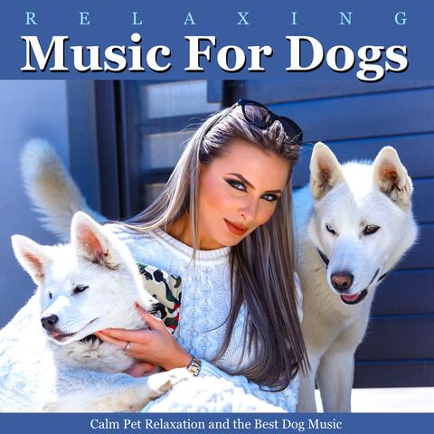 Dog relaxation best sale music 9 hours