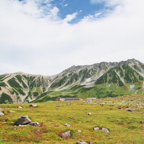 Background Thumbnail