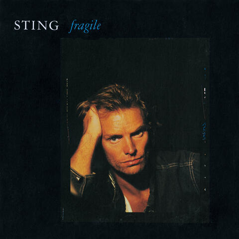 Sting fragile клип какого года