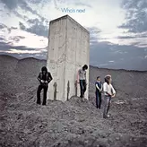Won't Get Fooled Again artwork
