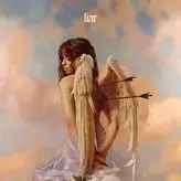 Liar artwork