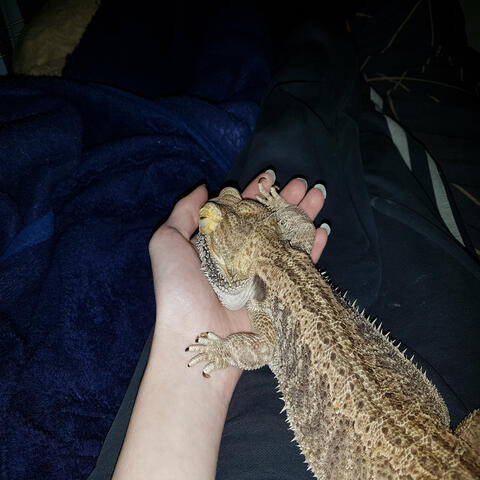 Background Thumbnail