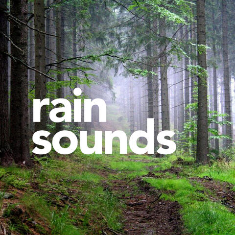 Rain Sounds - Rain Sounds | iHeart