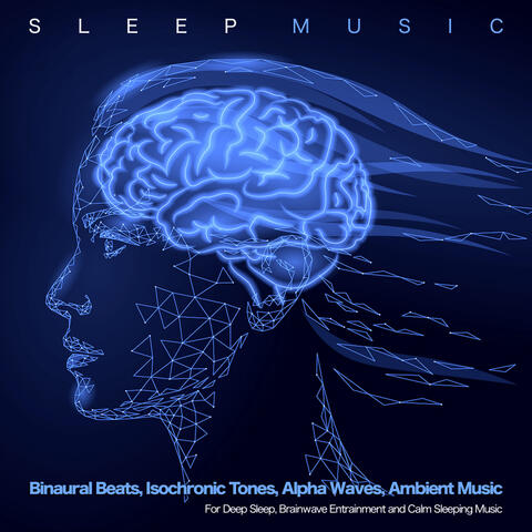 Binaural Beats (Deep Sleep) - song and lyrics by Binaural Beats Sleep