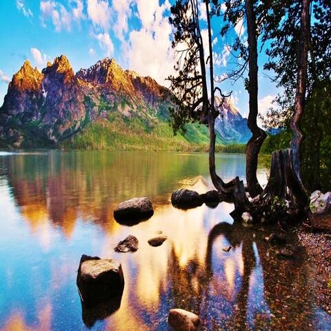 Background Thumbnail