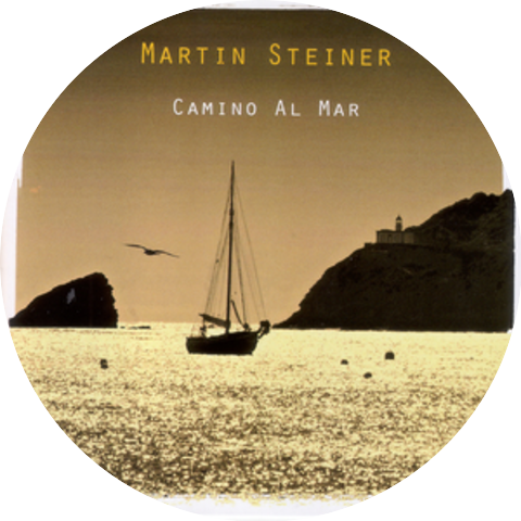 Martin Steiner