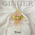Ginger