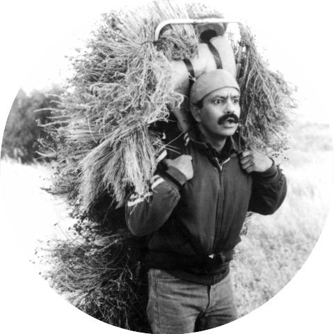 Cheech Marin