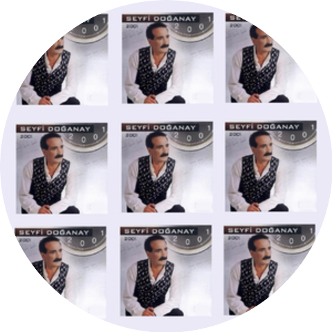 Seyfi Doğanay