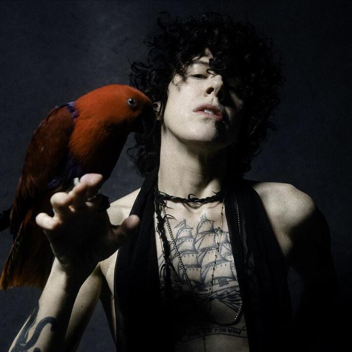 LP