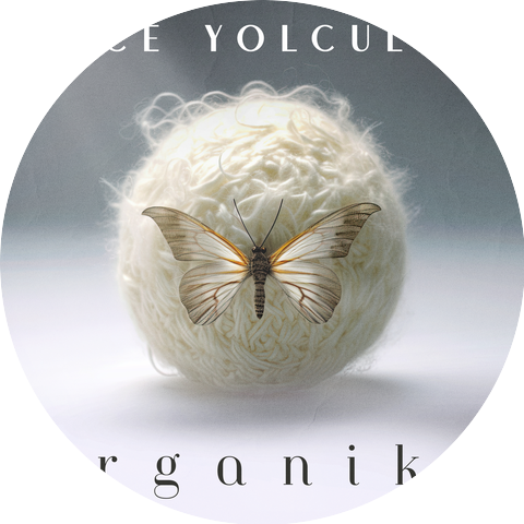 Gece Yolculari