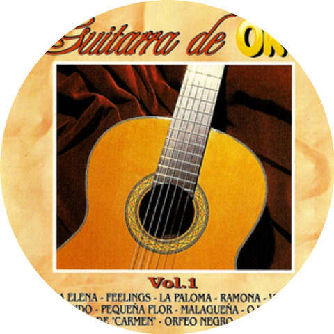 The Guitar Experience