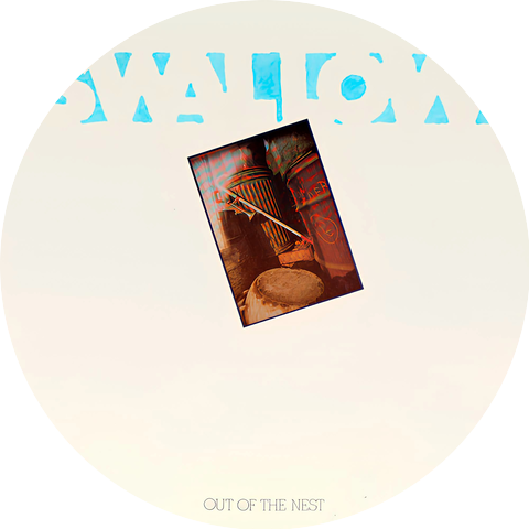 Swallow