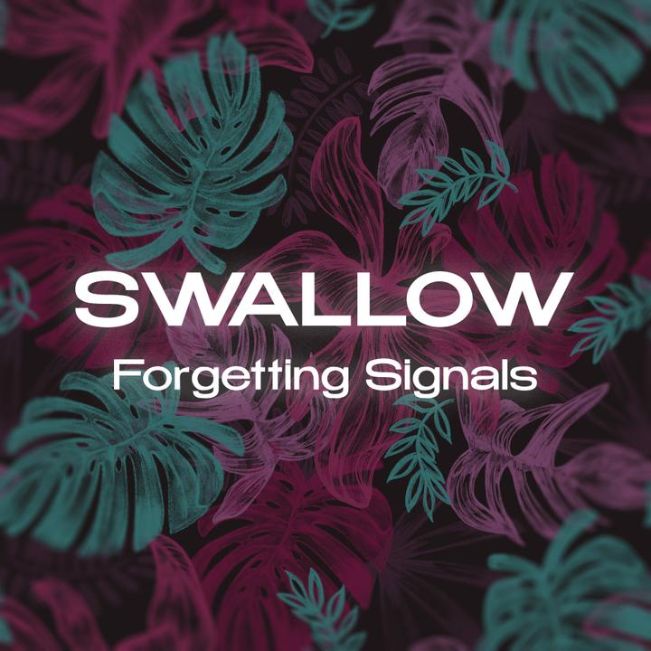 Swallow