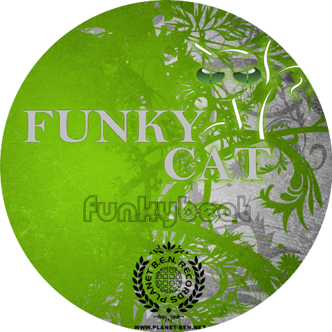 Funky Cat