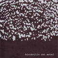 Birchville Cat Motel