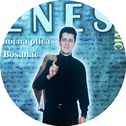 Enes Begovic