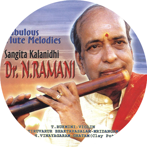 Dr. N. Ramani