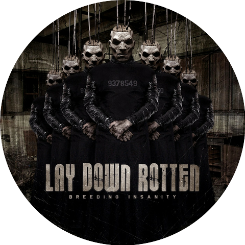 Lay Down Rotten
