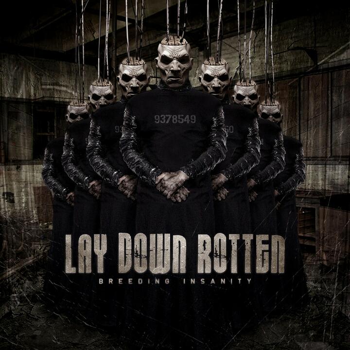 Lay Down Rotten