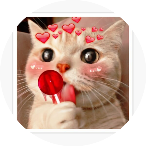 Koshka