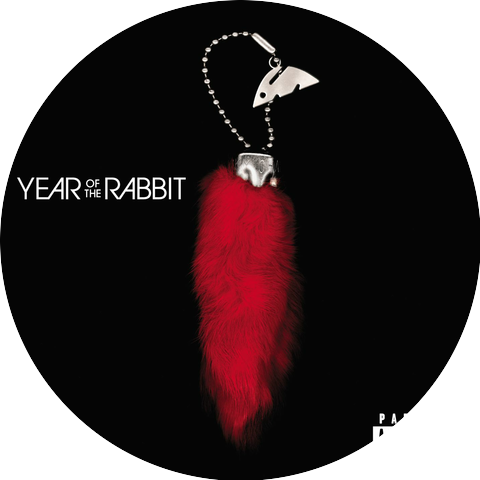 Year Of The Rabbit