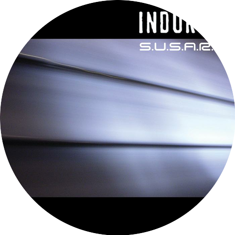 Indukti