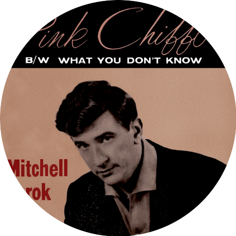 Mitchell Torok