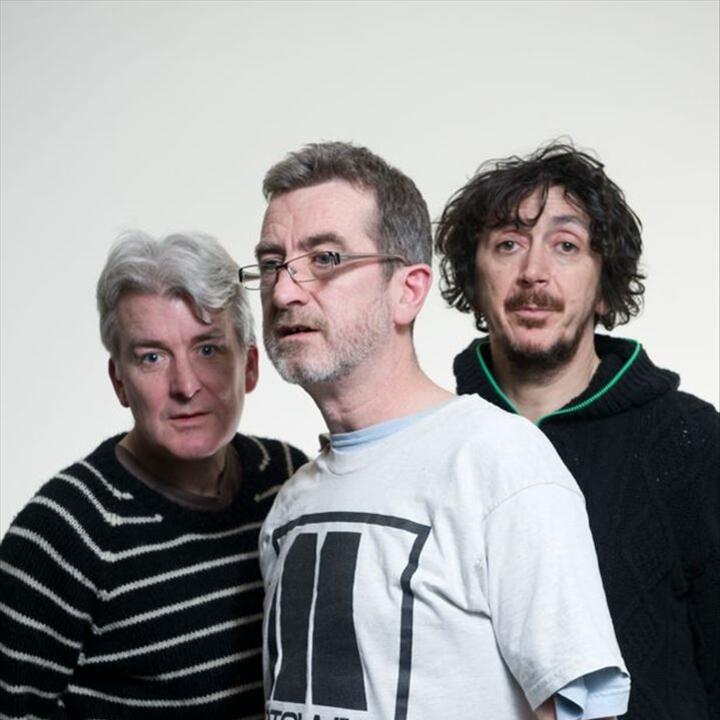 The Bluebells