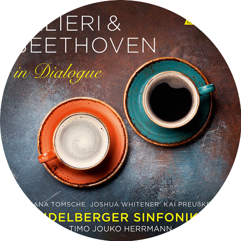 Heidelberger Sinfoniker