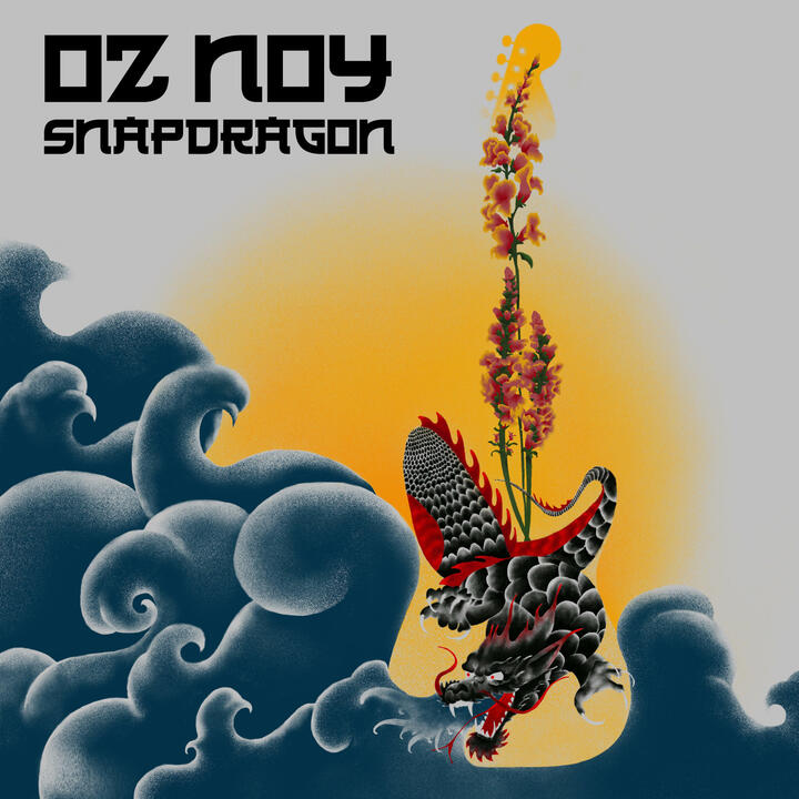 Oz Noy