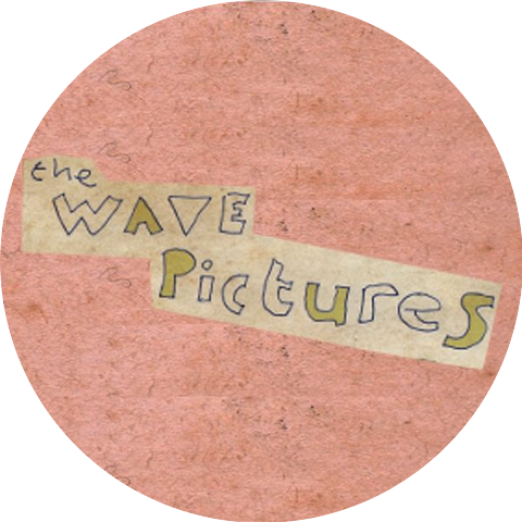 The Wave Pictures