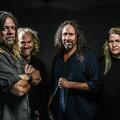 Corrosion of Conformity