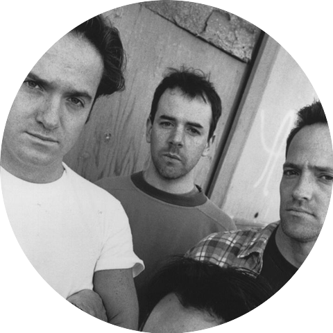The Wrens