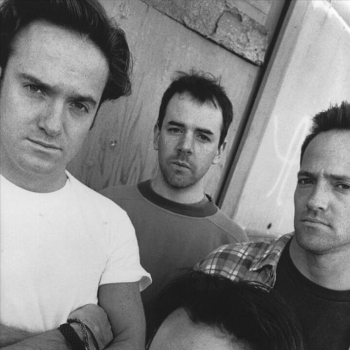 The Wrens