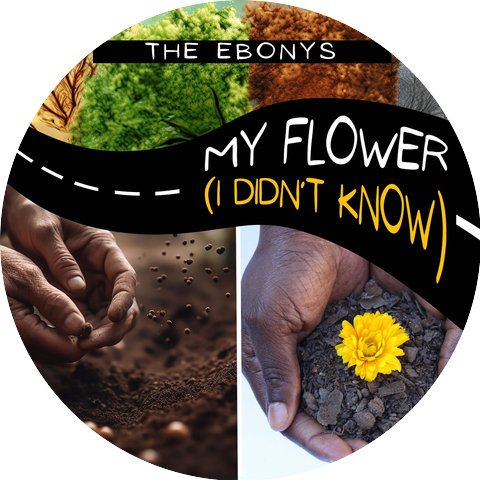 The Ebonys