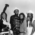 Steel Pulse